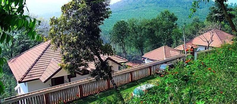 Planet Green Plantation Resort image