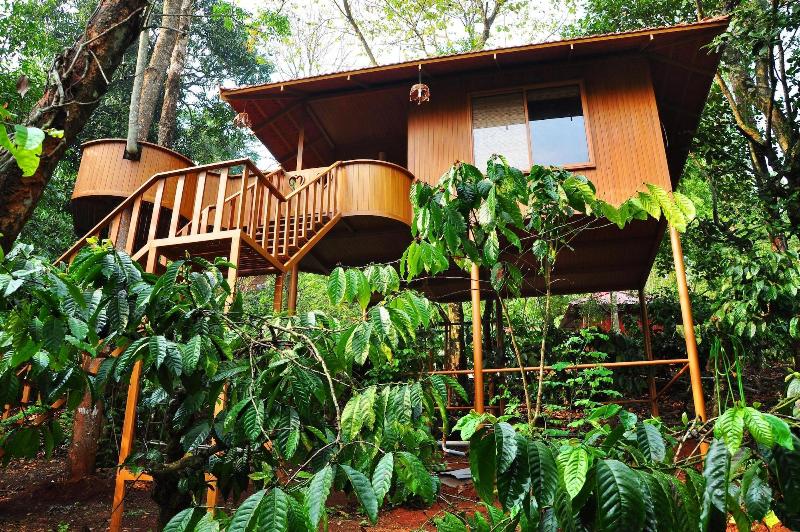 Planet Green Plantation Resort image