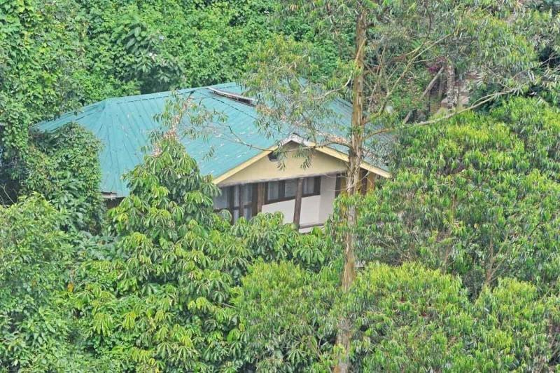 Gorilla Safari Lodge image