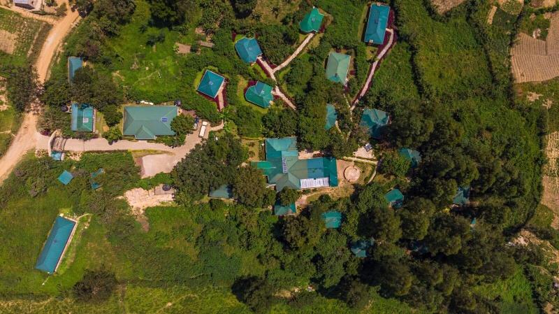 Gorilla Safari Lodge image