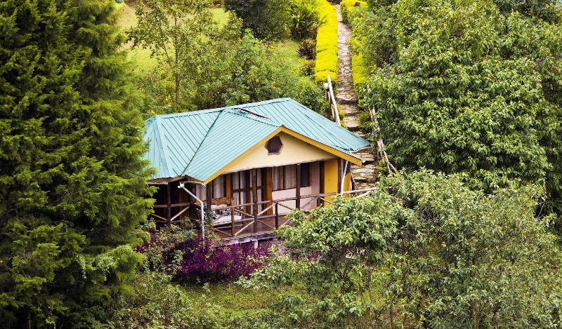Gorilla Safari Lodge image