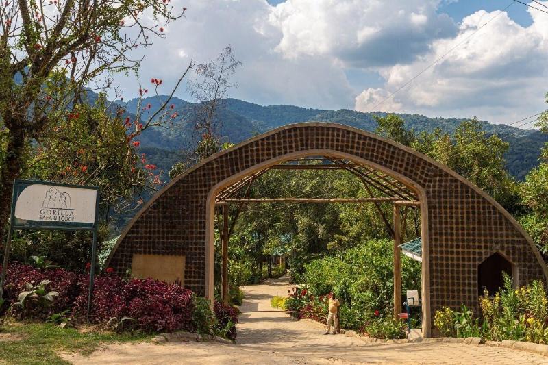 Gorilla Safari Lodge image
