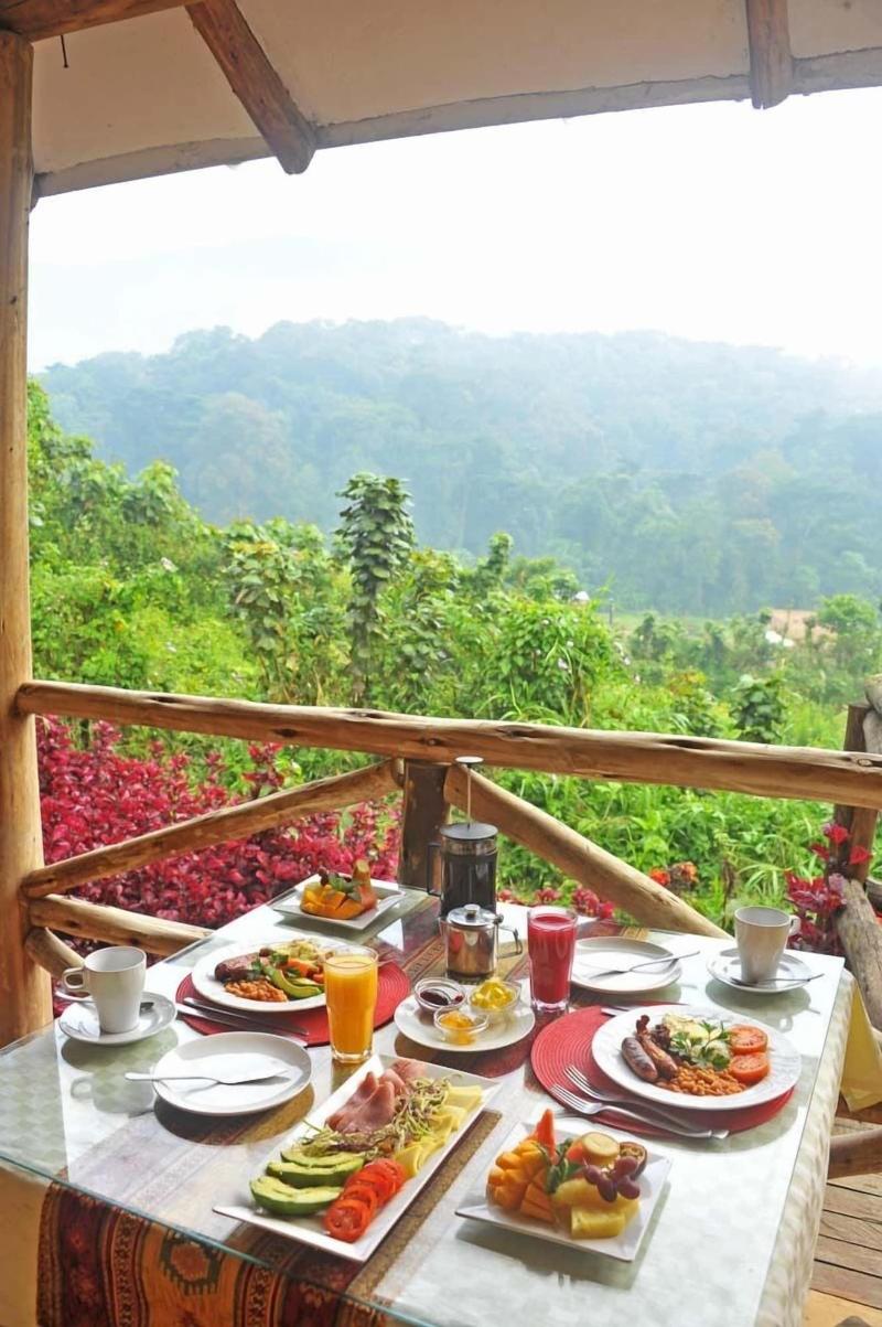 Gorilla Safari Lodge image