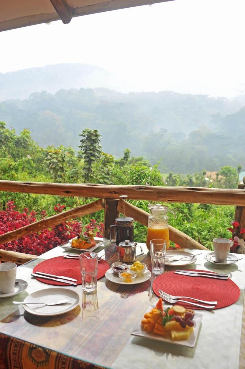 Gorilla Safari Lodge image