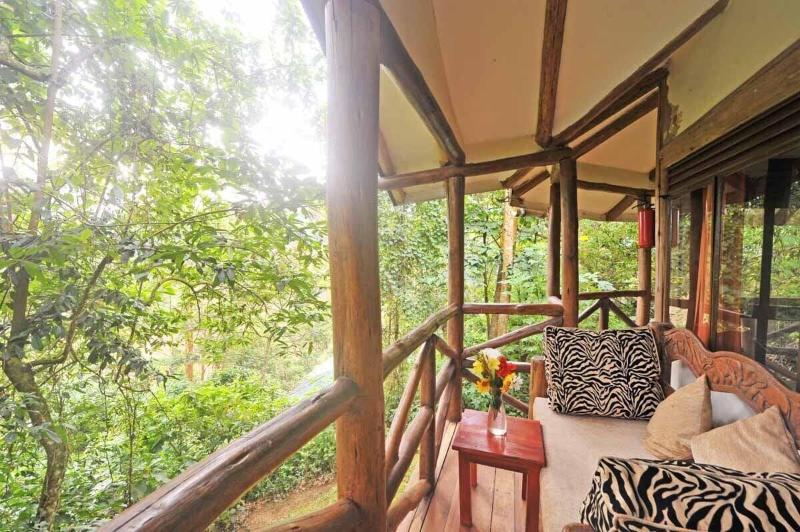 Gorilla Safari Lodge image