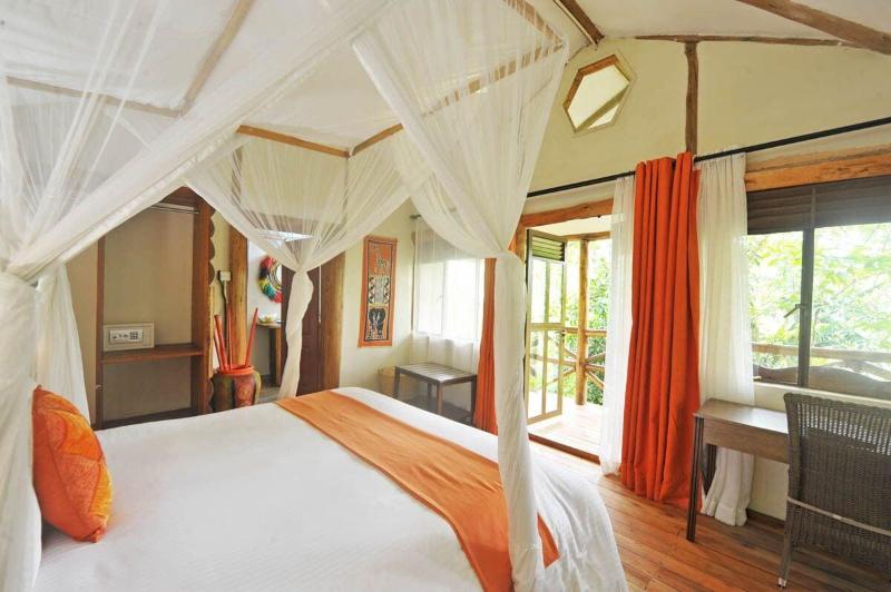 Gorilla Safari Lodge image