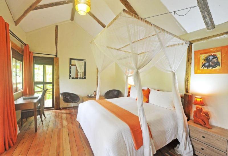 Gorilla Safari Lodge image