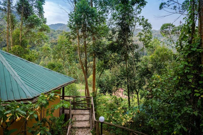 Gorilla Safari Lodge image