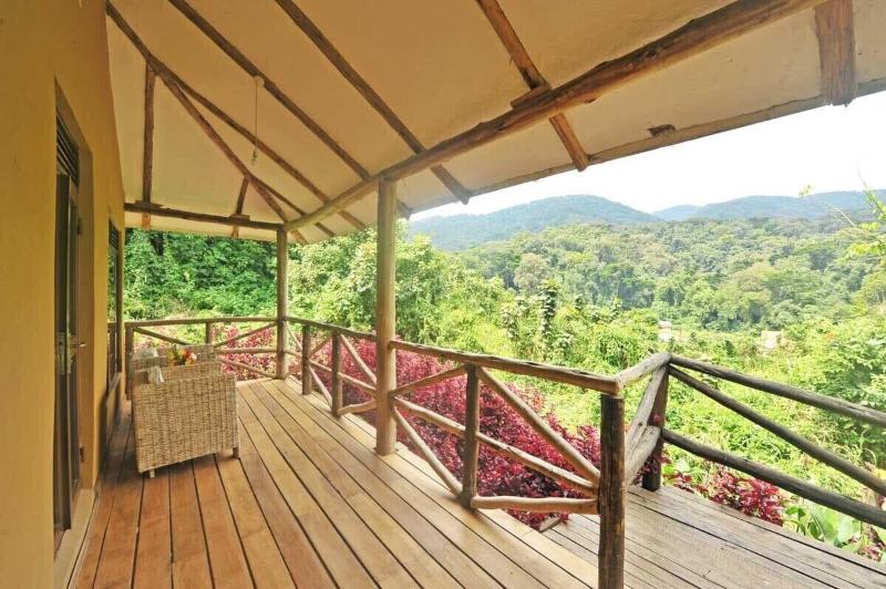 Gorilla Safari Lodge image