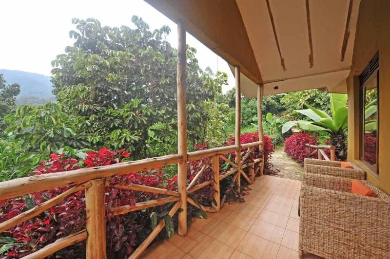 Gorilla Safari Lodge image