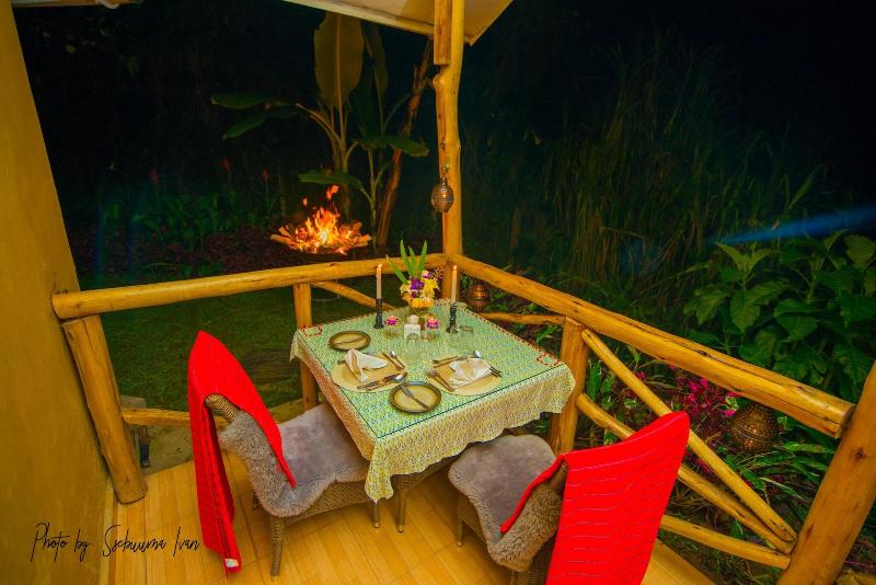Gorilla Safari Lodge image
