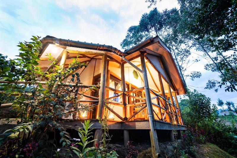 Gorilla Safari Lodge image