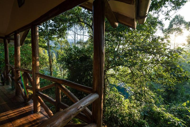 Gorilla Safari Lodge image