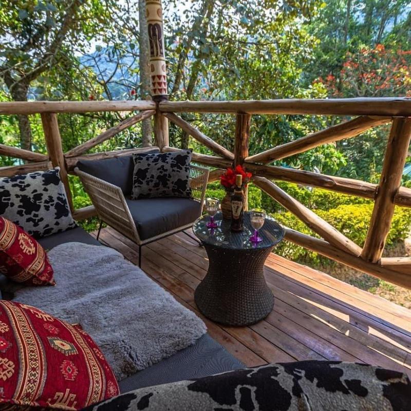 Gorilla Safari Lodge image