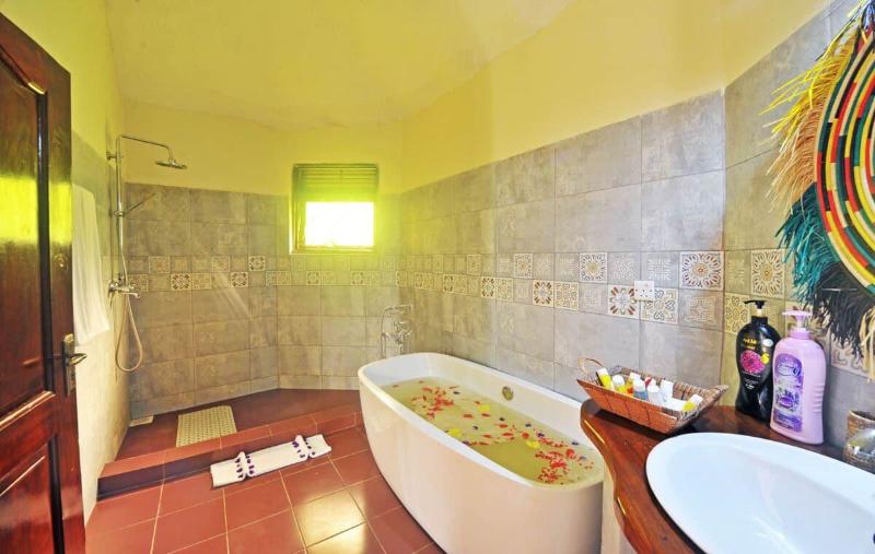Gorilla Safari Lodge image