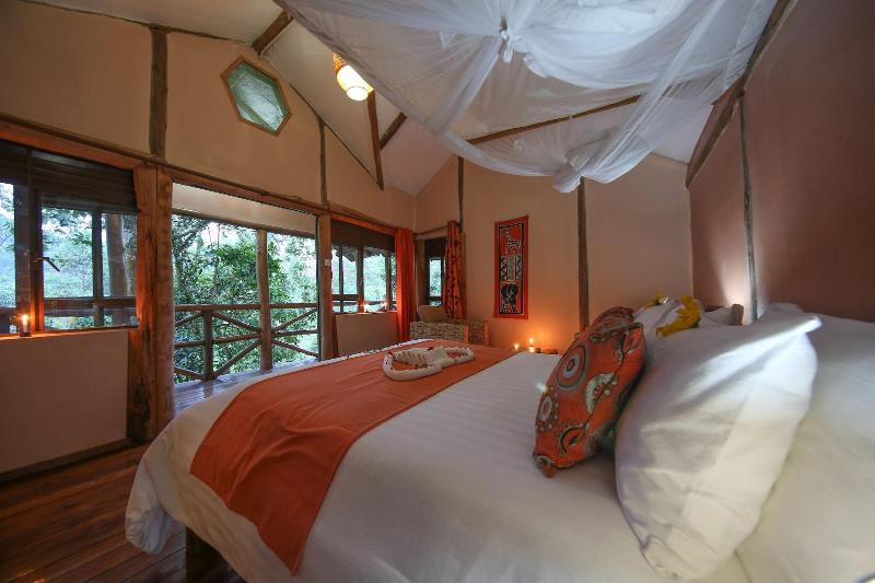 Gorilla Safari Lodge image