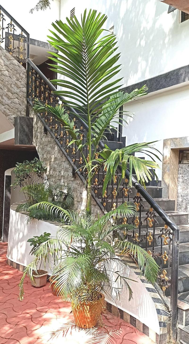 Spicy Bella Resort image