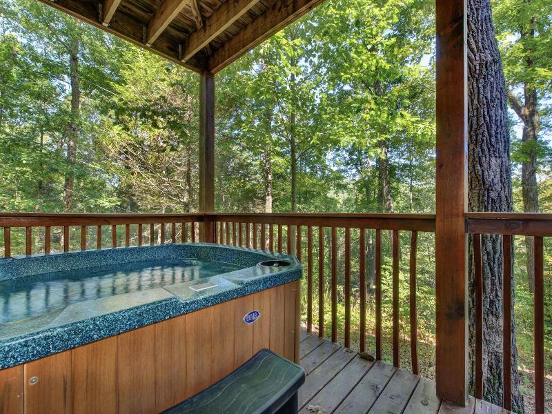 Hickory Hollow Lodge image