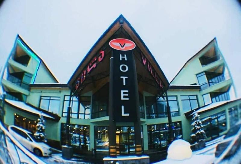 Hotel Villa Palace image