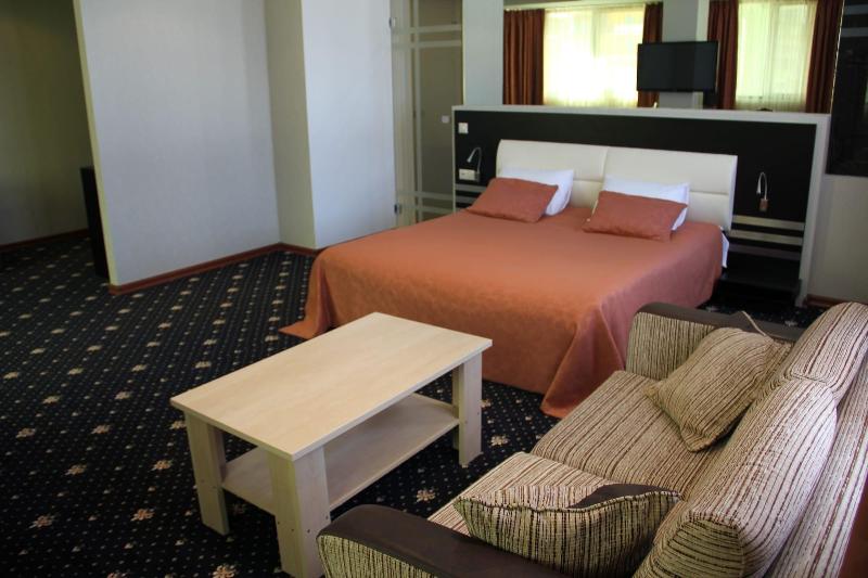 Hotel Villa Palace image