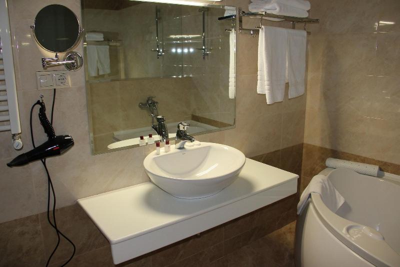 Hotel Villa Palace image