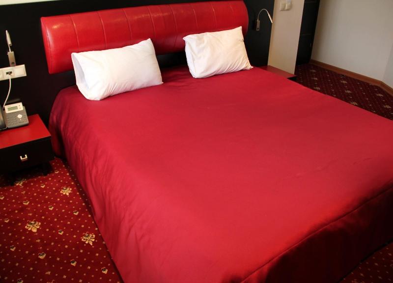 Hotel Villa Palace image