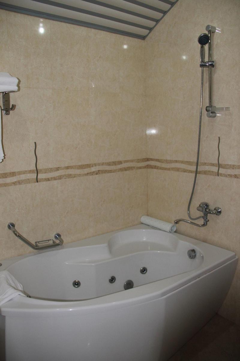 Hotel Villa Palace image
