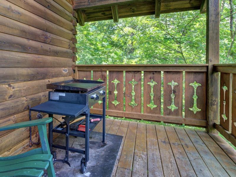 Bear Necessities image