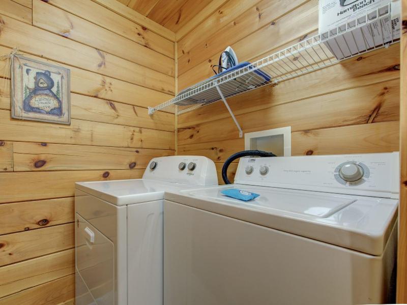 Bear Necessities image