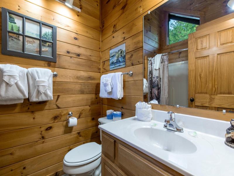 Bear Necessities image