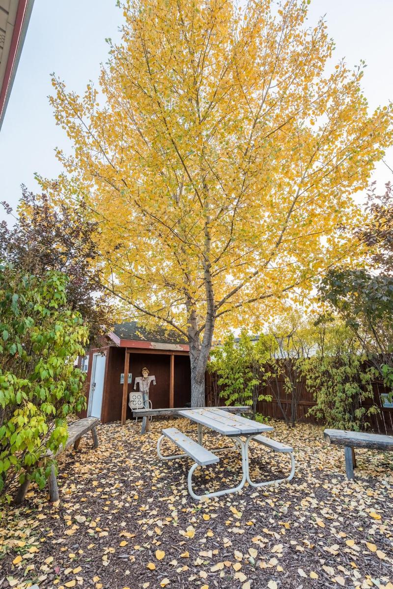 Pinedale Cozy Cabins — view