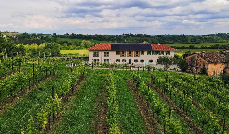 Tenuta Mani Sagge image