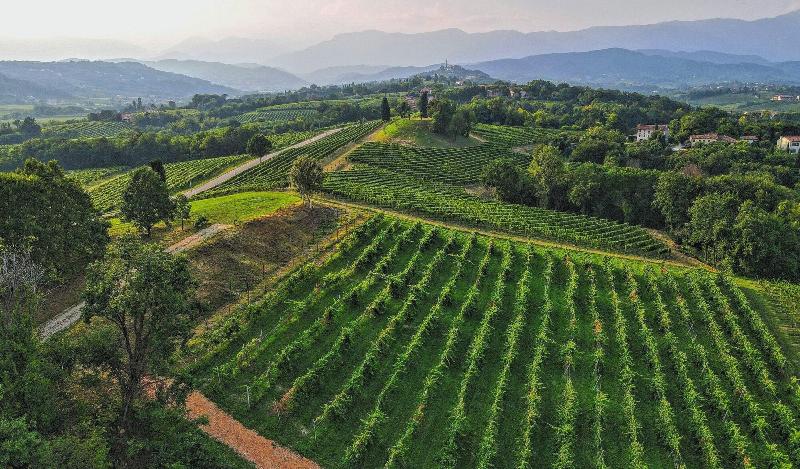 Tenuta Mani Sagge image