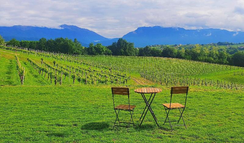 Tenuta Mani Sagge image