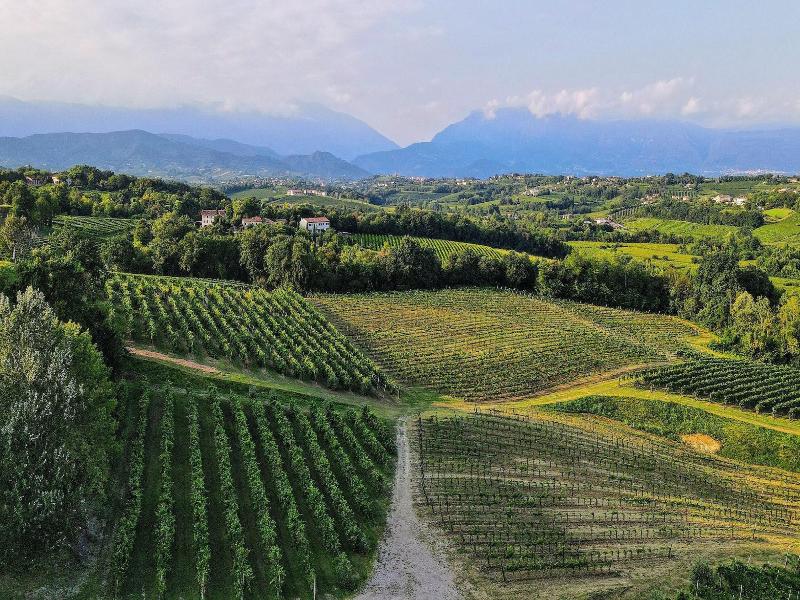 Tenuta Mani Sagge image