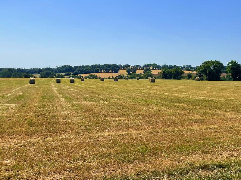 La Petite FÃ©lixiÃ¨re image