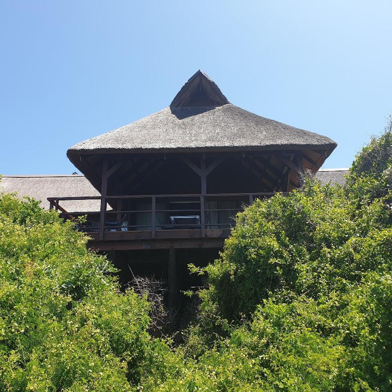 Montebelo Milibangalala Bay Resort image