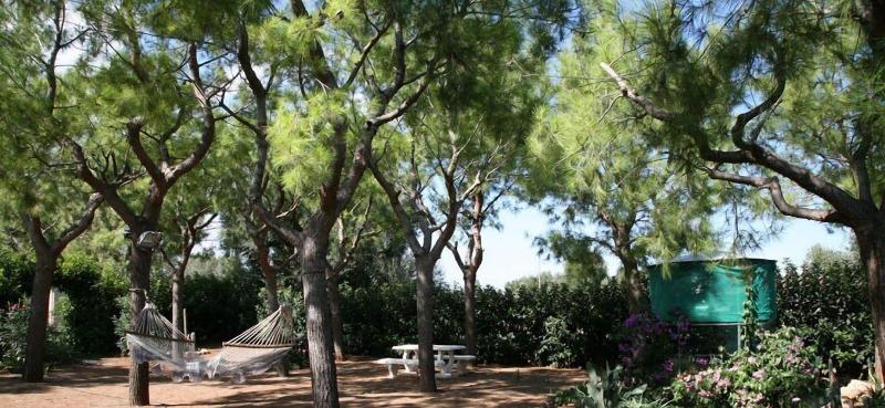 Villa Tonia image