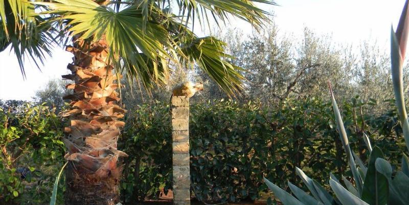 Villa Tonia image