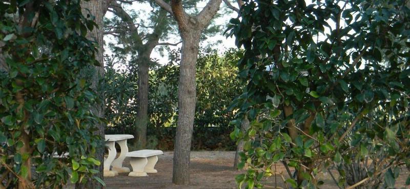 Villa Tonia image