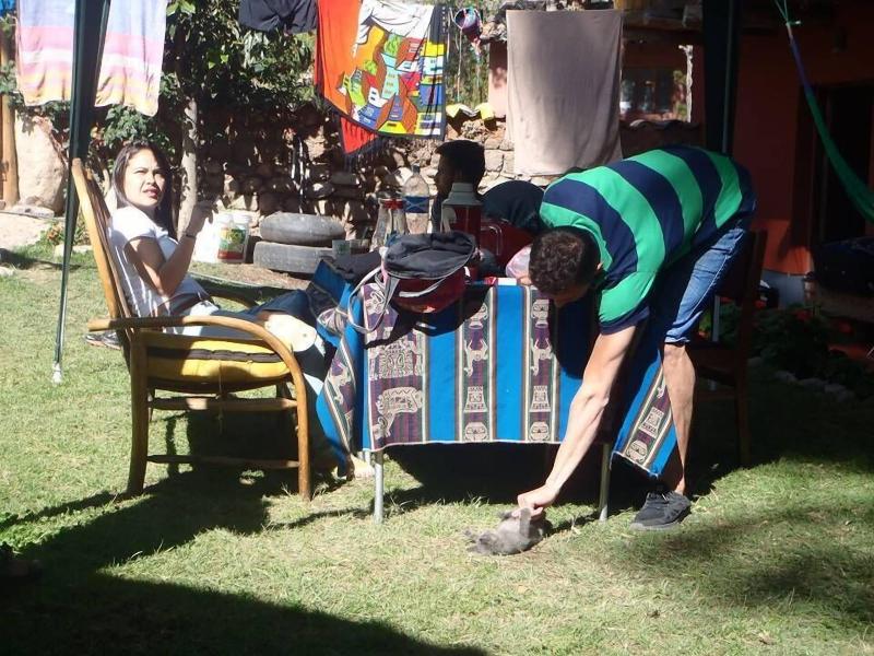 Mystical Adventures Hostel image