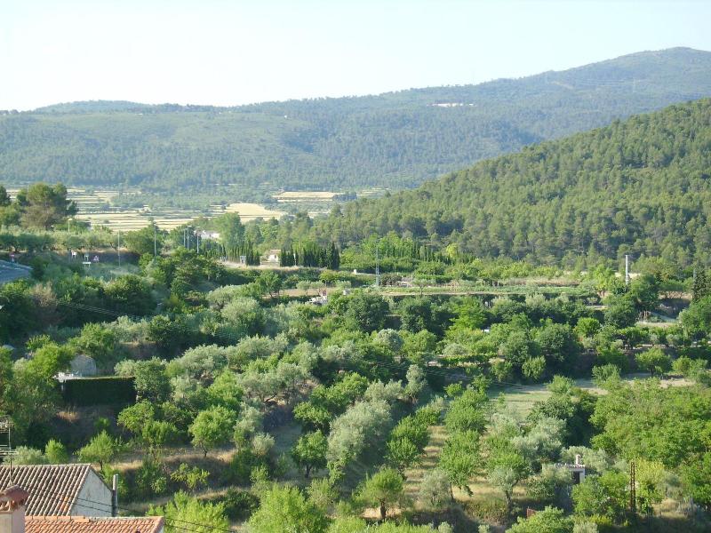 Hotel Meson El Castillo image