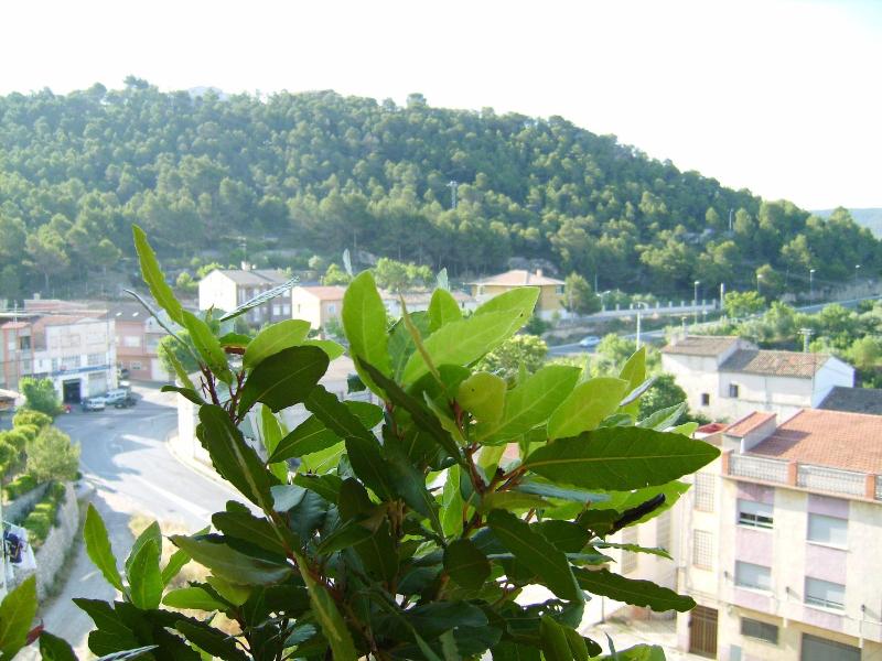 Hotel Meson El Castillo image