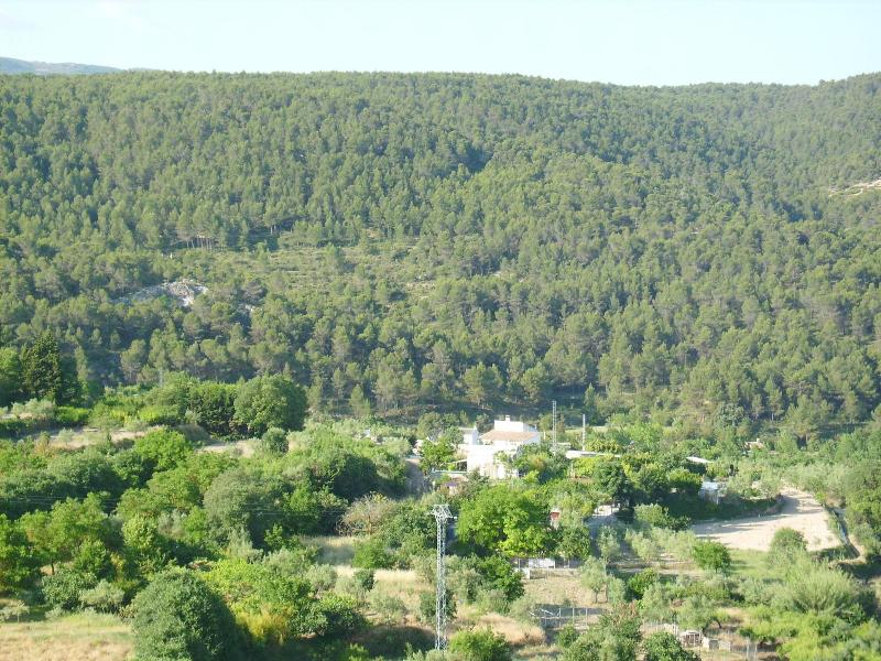 Hotel Meson El Castillo image