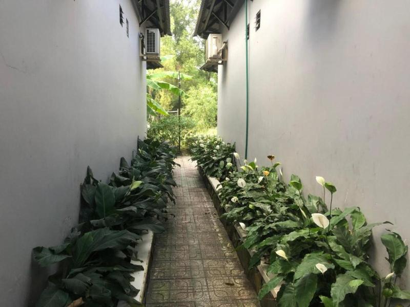 Mai Vuong Thuy Hotel 2