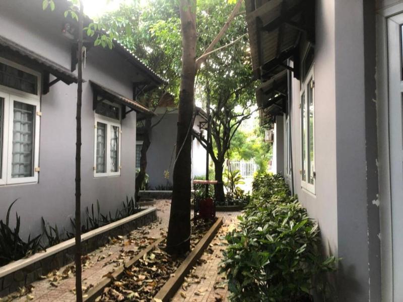 Mai Vuong Thuy Hotel 3
