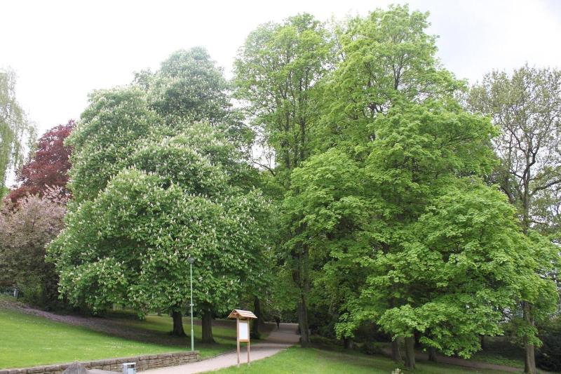 Privatzimmer Hagen image