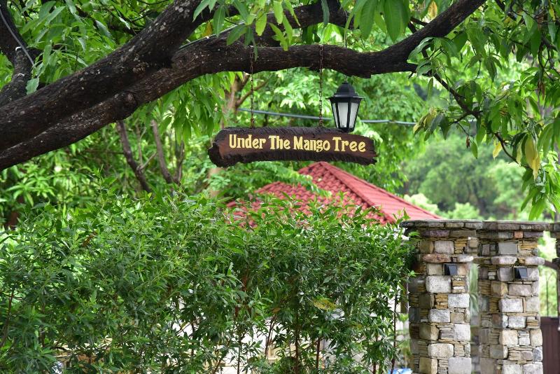 Tree of Life Vanvilas Riveredge image