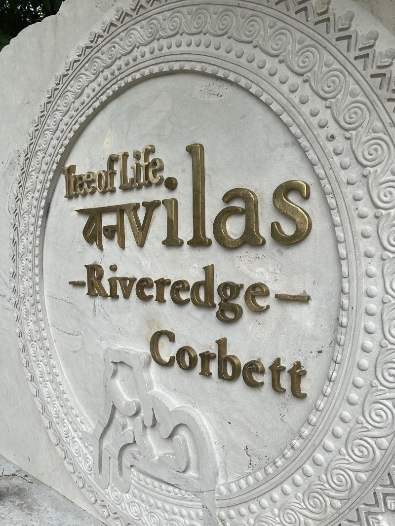Tree of Life Vanvilas Riveredge image