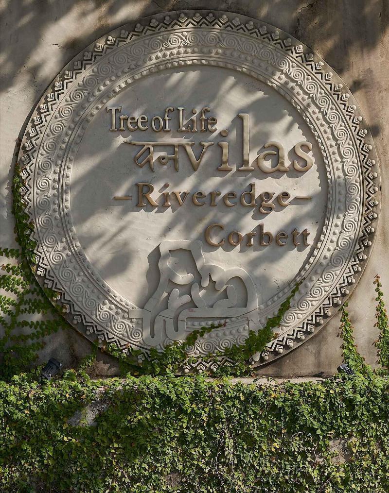Tree of Life Vanvilas Riveredge image